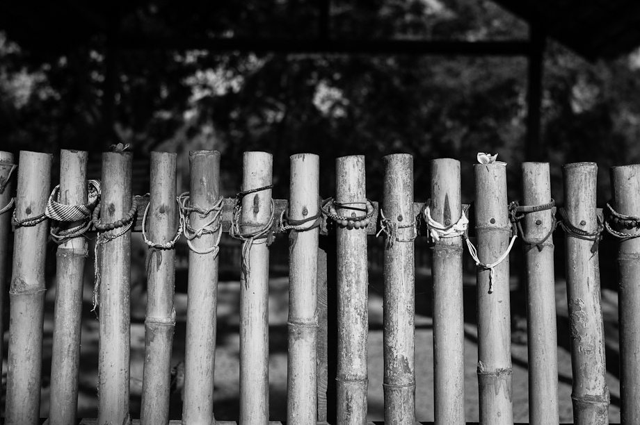 The Killing Fields