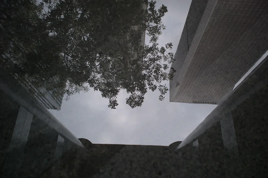 Playing with reflections in puddles