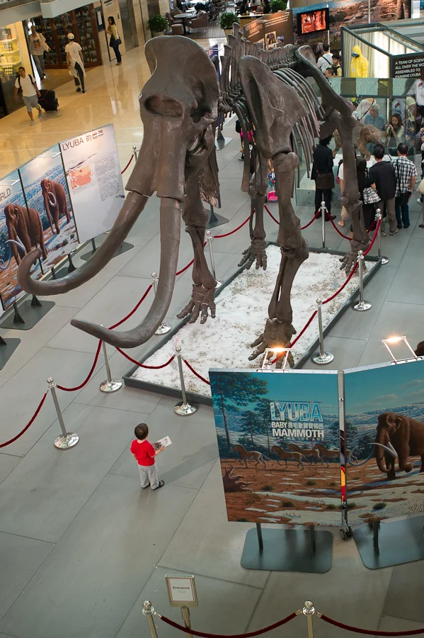 Boy and Mammoth