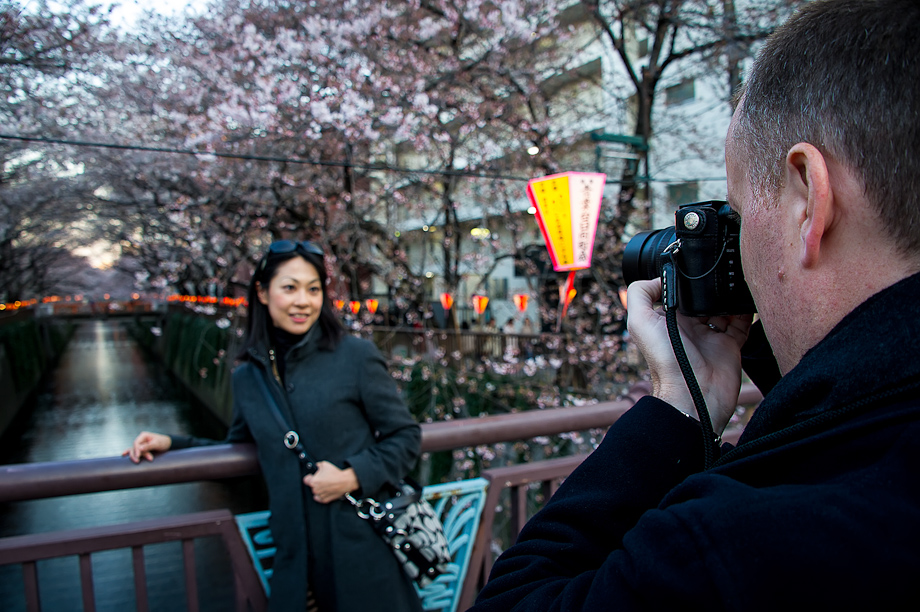 Shooting the Cherry Blossoms