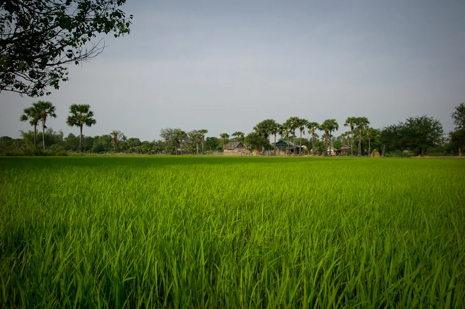Tabitha's work in Cambodia