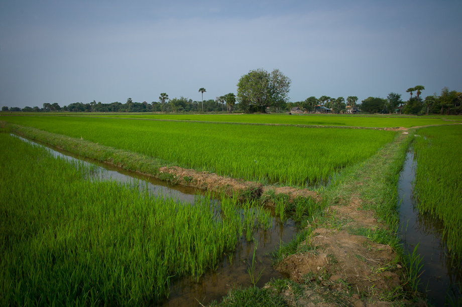 Tabitha's work in Cambodia