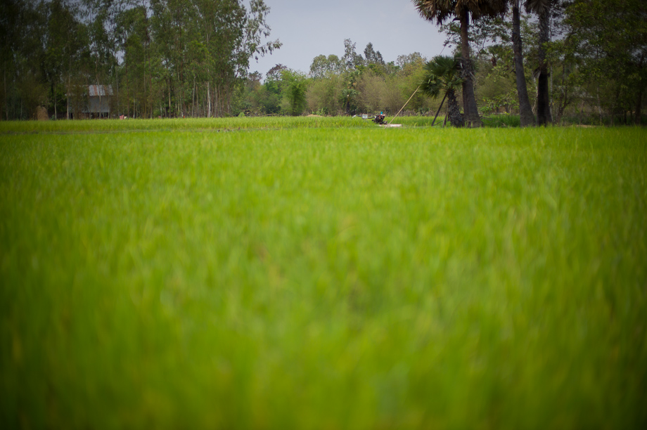 Tabitha's work in Cambodia