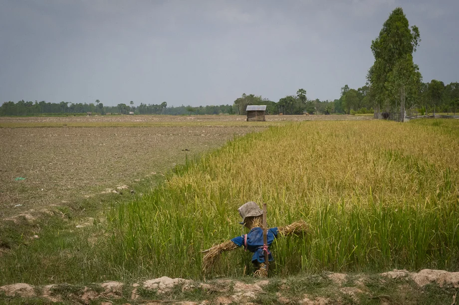 Tabitha's work in Cambodia