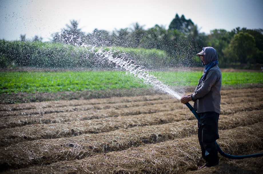 Farming supported by Tabitha Cambodia