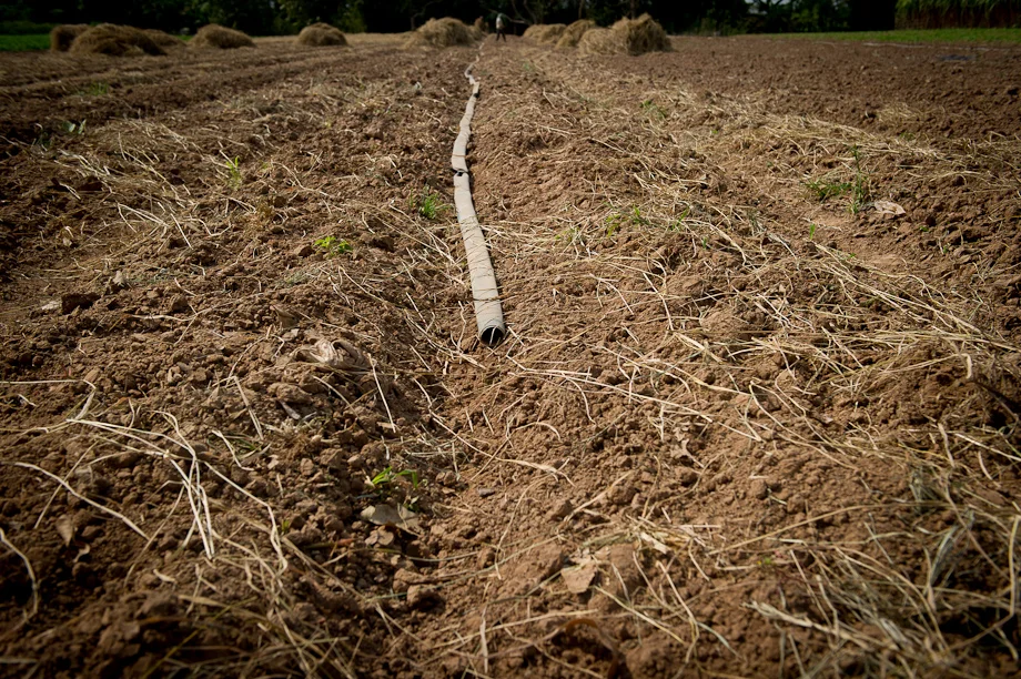 Farming supported by Tabitha Cambodia