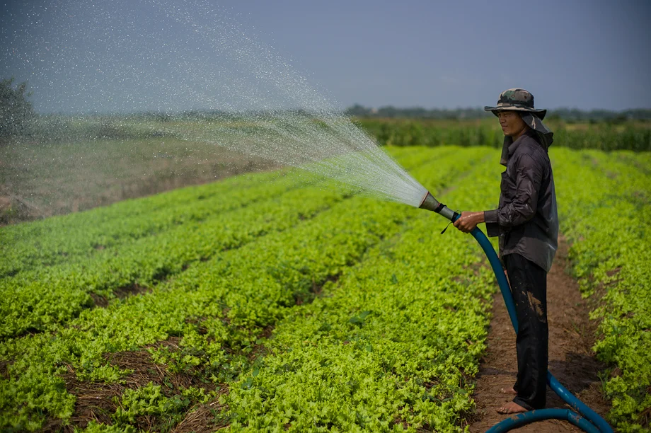 Farming supported by Tabitha Cambodia