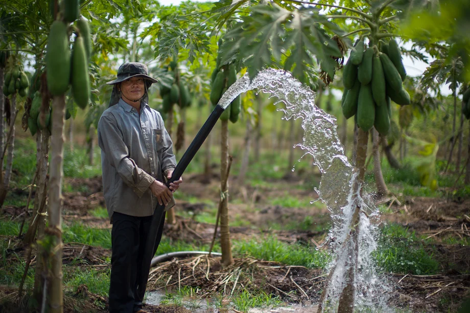 Farming supported by Tabitha Cambodia