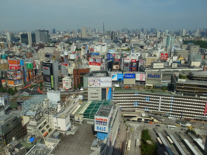 Shinjuku from above