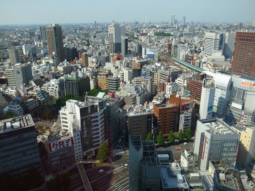 Shinjuku from above