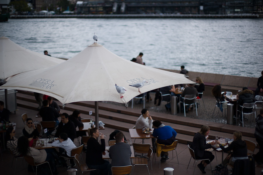 Sydney Photowalk