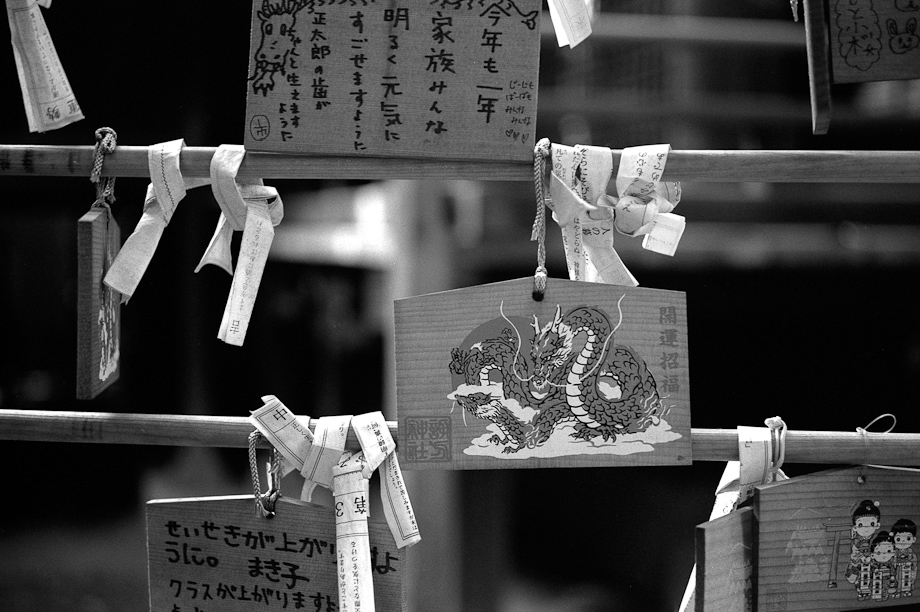 Year of the Dragon