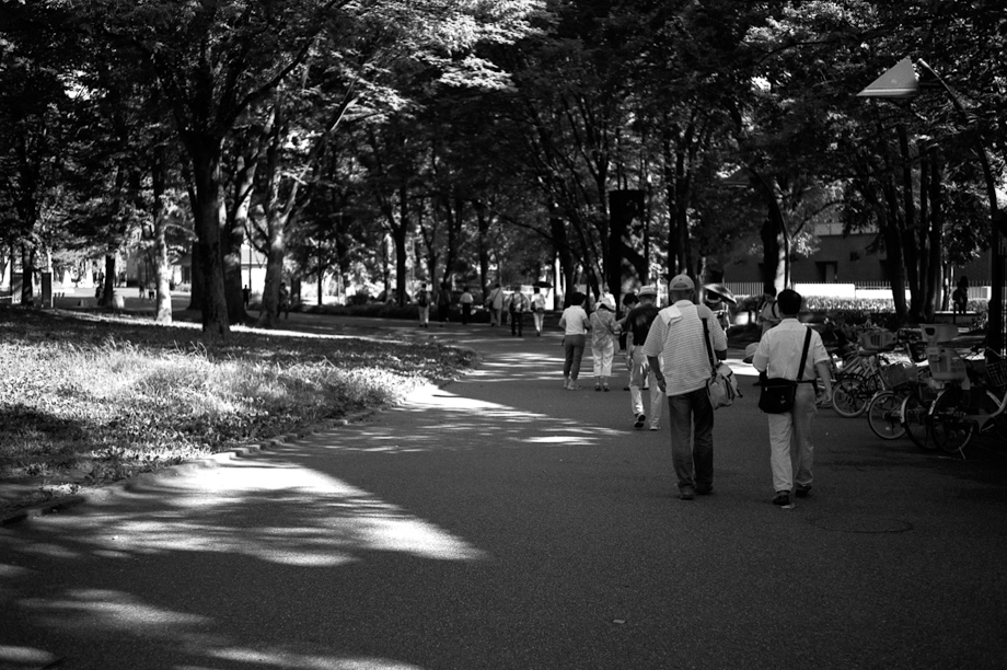 Ueno Park