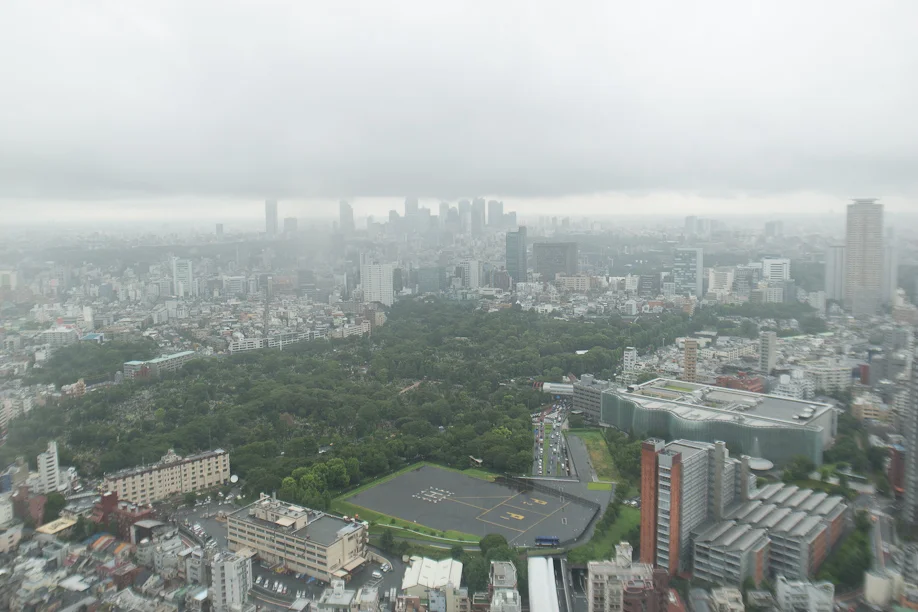 Storm over Tokyo