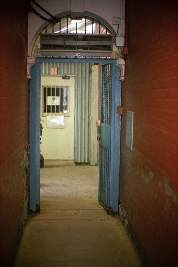 Kodak Portra 160VC Color Negative