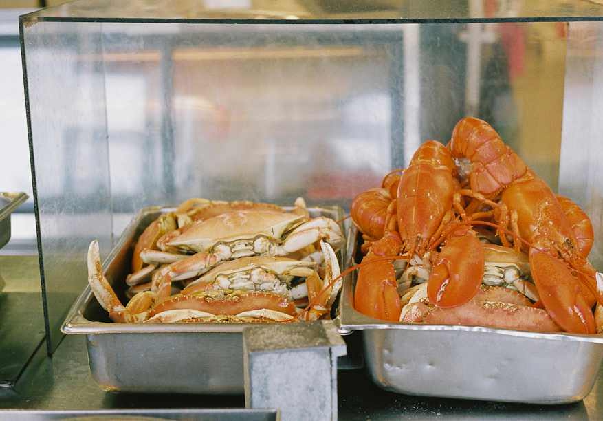 Fisherman's Wharf in San Francisco