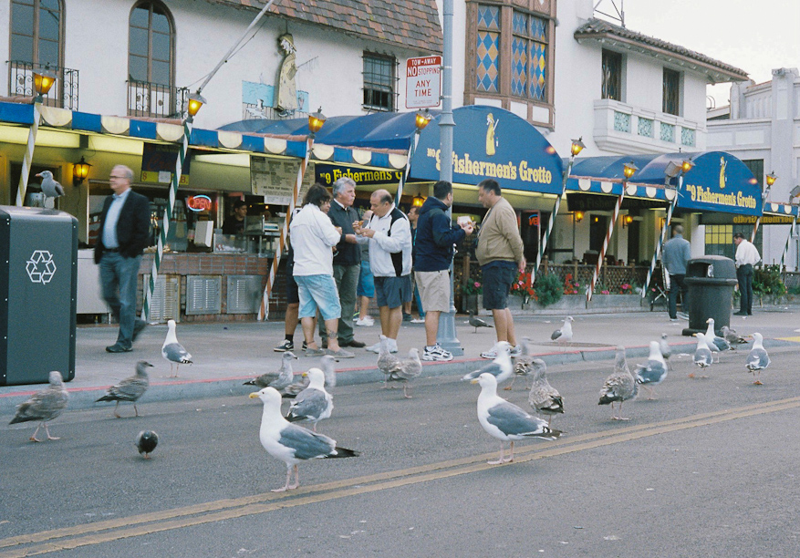 Fisherman's Wharf in San Francisco