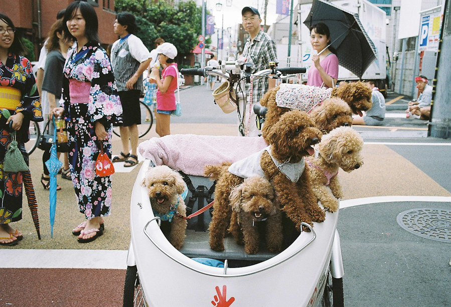 Jiyugaoka Matsuri