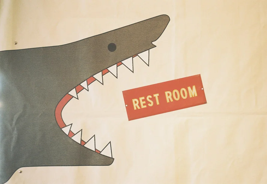 Rest Room Shark