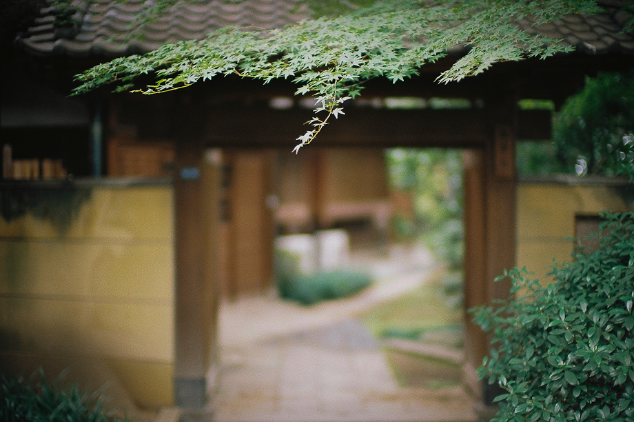 Yanaka