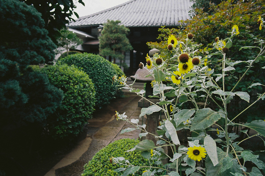 Yanaka