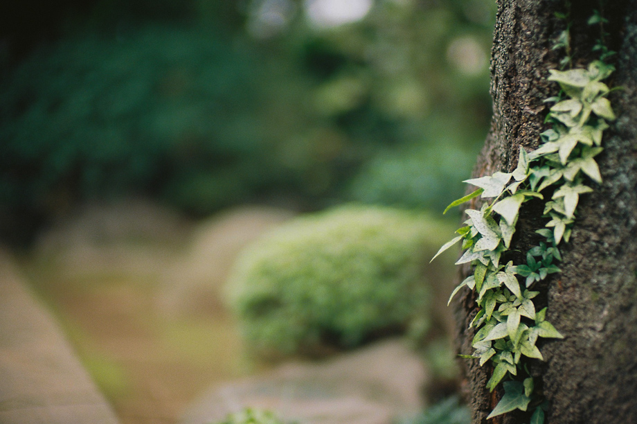 Yanaka
