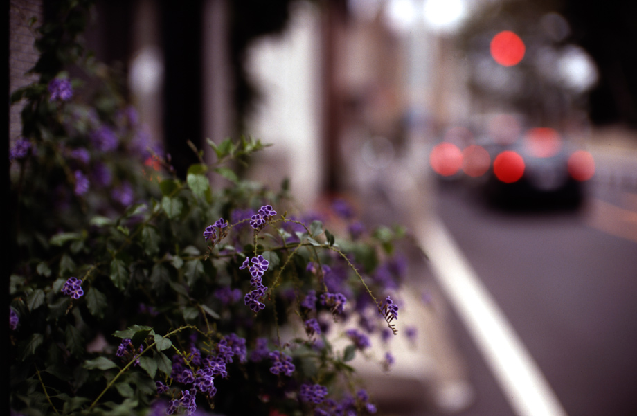 Bokeh