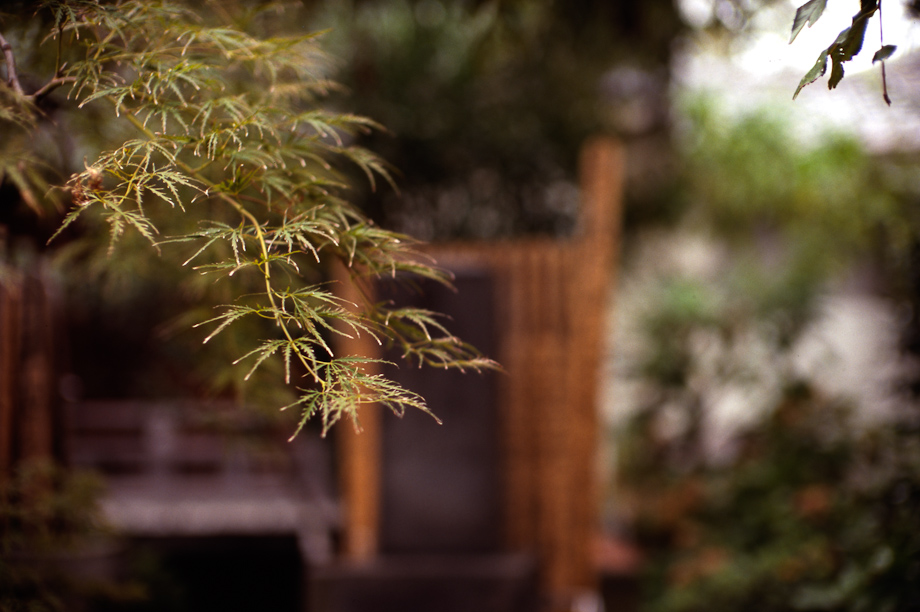 Yanaka