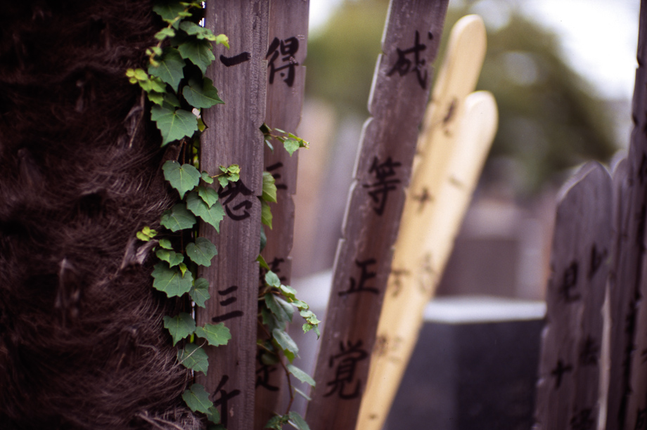 Cemeteries in Yanaka