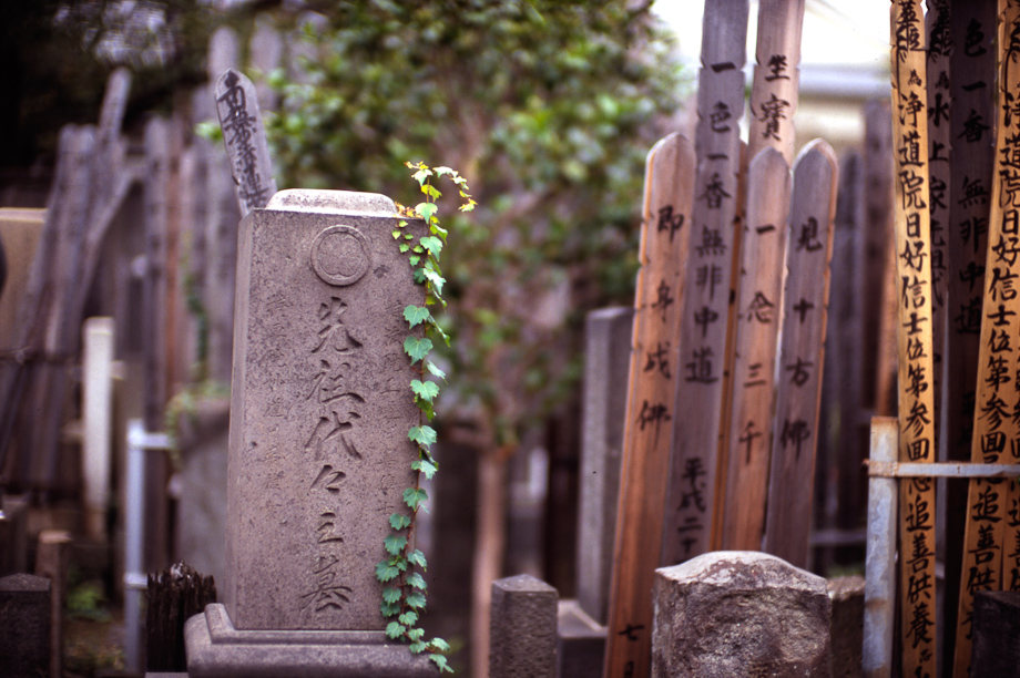 Cemeteries in Yanaka