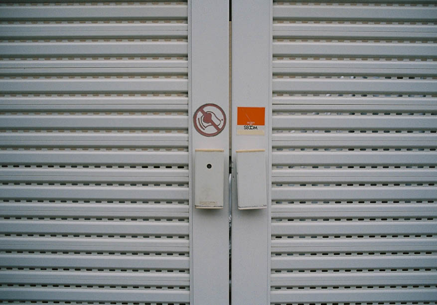 No dogs