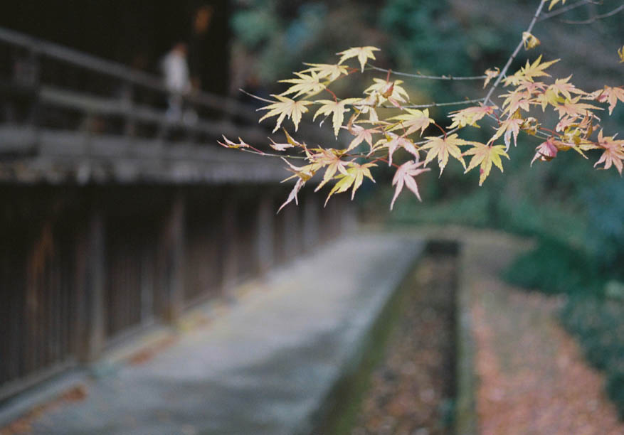 Kamakura