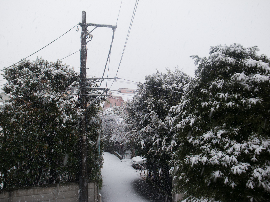 Tokyo Snow Storm, January 14th 2013