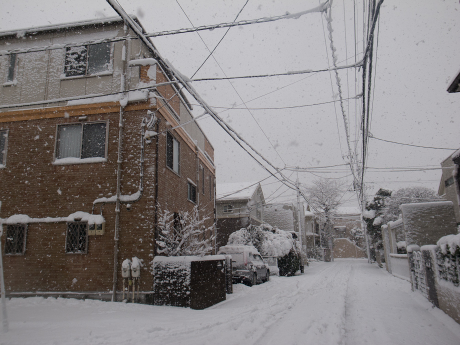 Tokyo Snow Storm, January 14th 2013