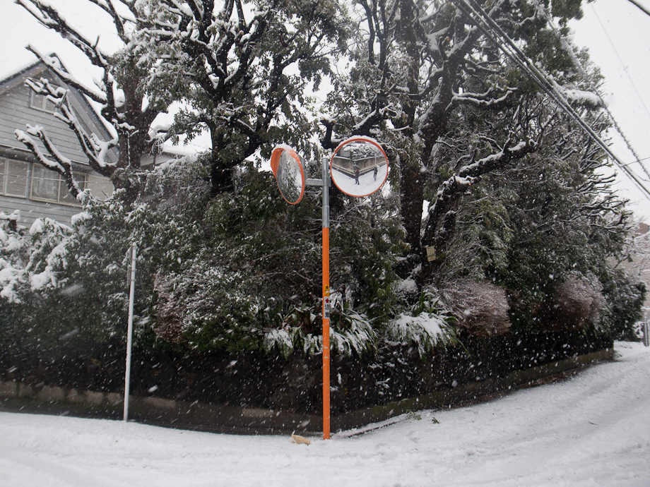 Tokyo Snow Storm, January 14th 2013
