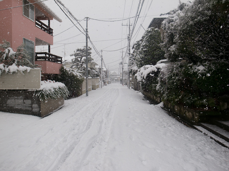 Tokyo Snow Storm, January 14th 2013