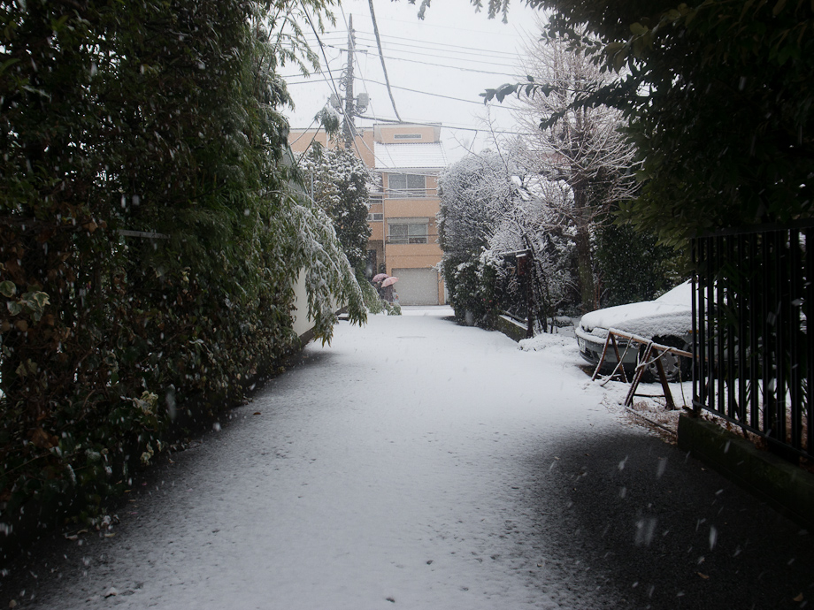 Tokyo Snow Storm, January 14th 2013