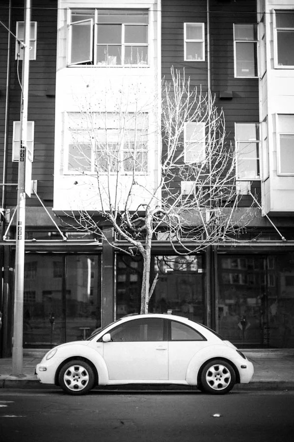 VW Bug