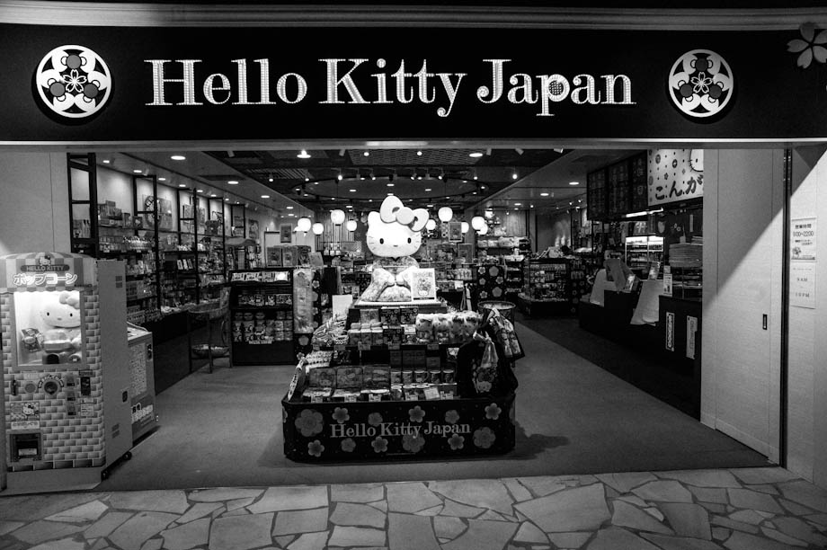 Haneda International Airport