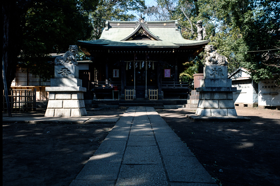 Tokyo Temple shot on Portra 400 with a Mamiya 645