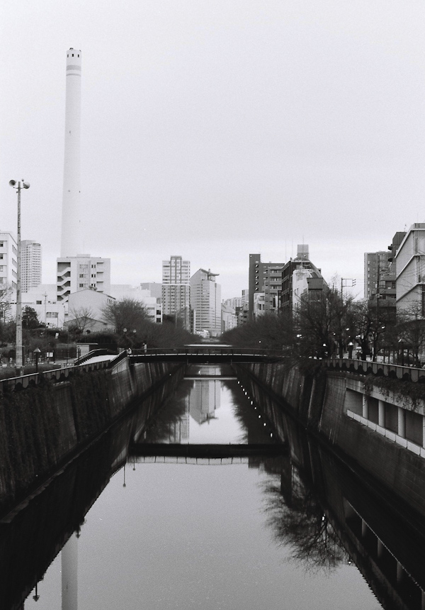 Meguro River in Nakameguro