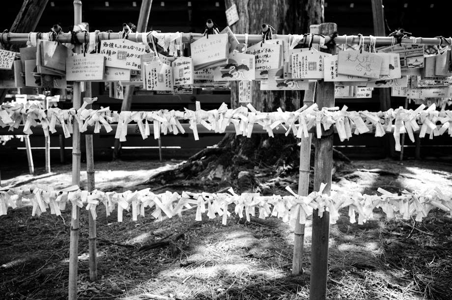 Nezu Shrine