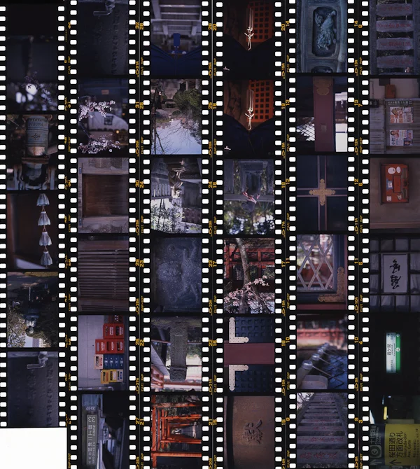 Contact Sheet