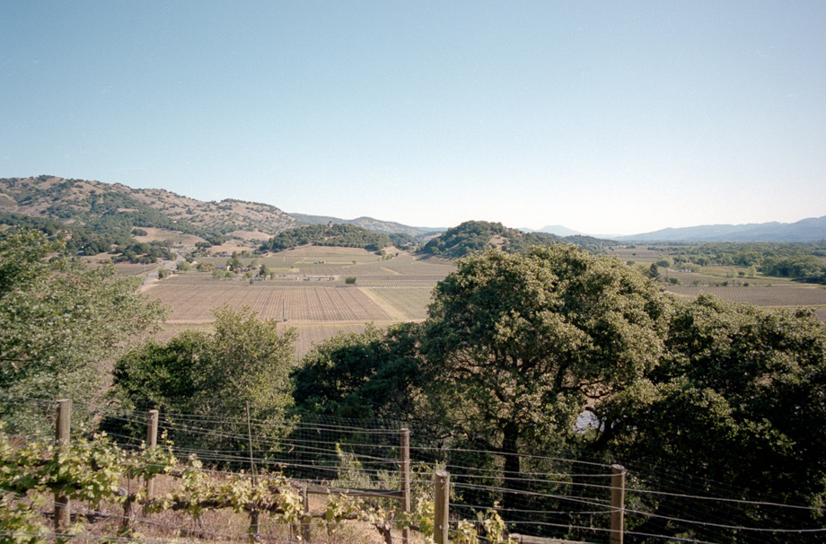 Wine tasting at Silverado in Napa Valley