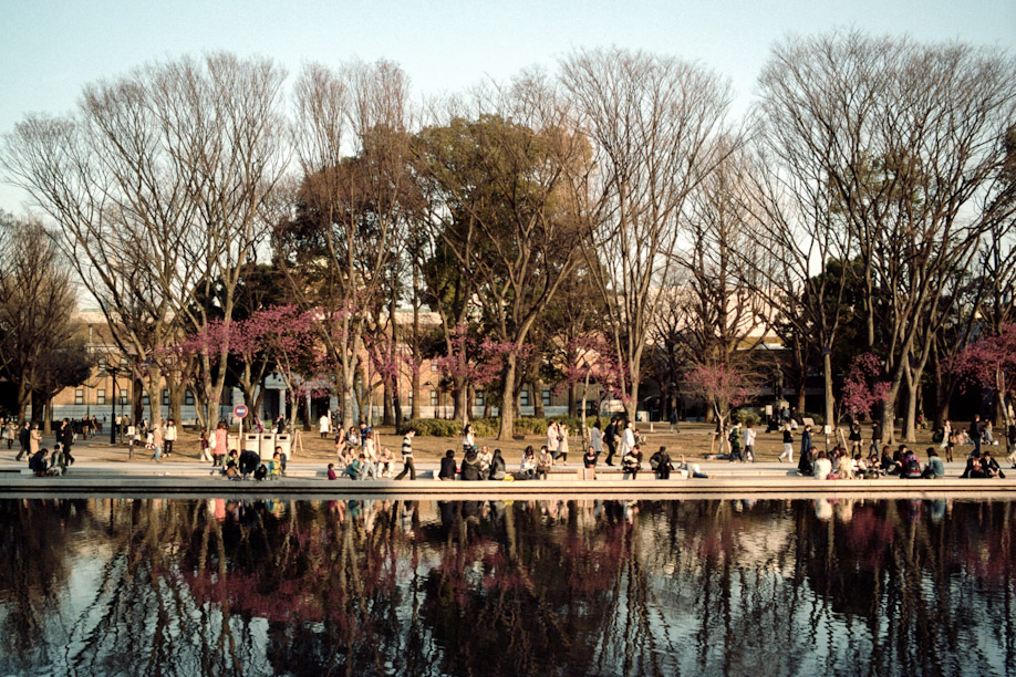 Reflection of Ueno Park shot with Kodak Potra 160 on a Leica M6