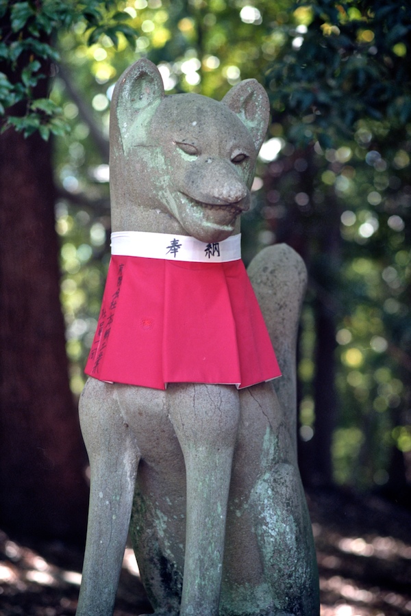 Fushimi-inari Taisha in Kyoto