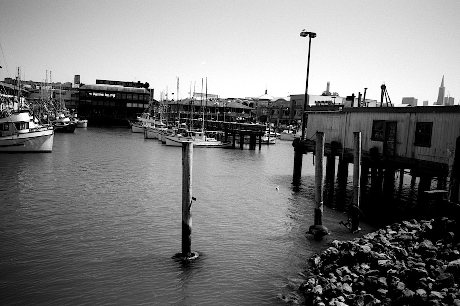 Fisherman's Wharf