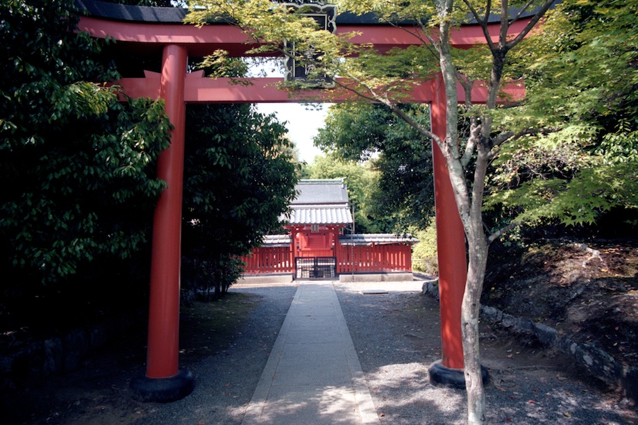 The Bamboo Forrest in Kyoto