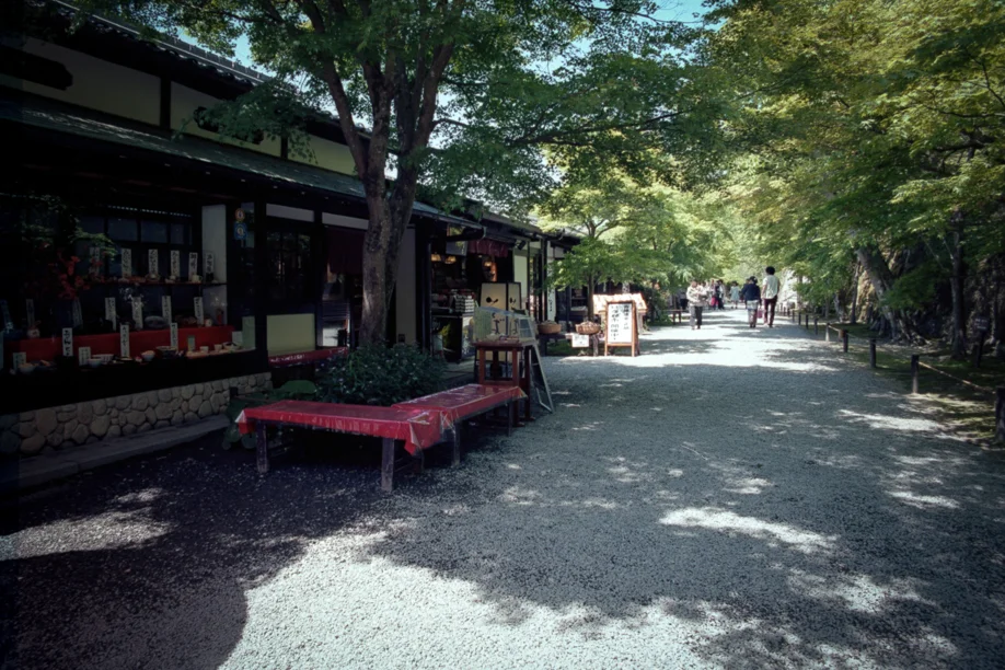 Sanzenin Temple in Kyoto