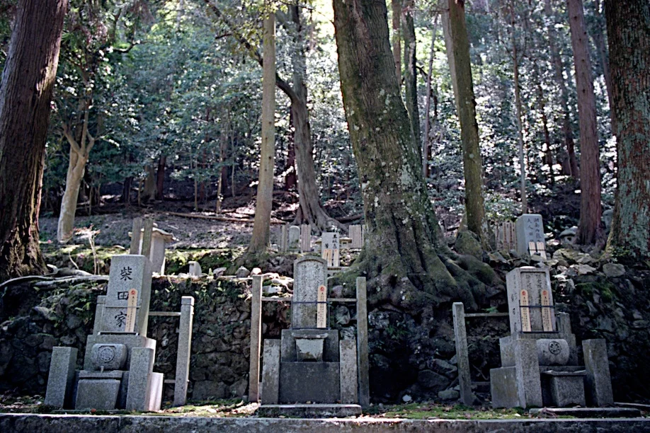 Honenin Temple in Kyoto